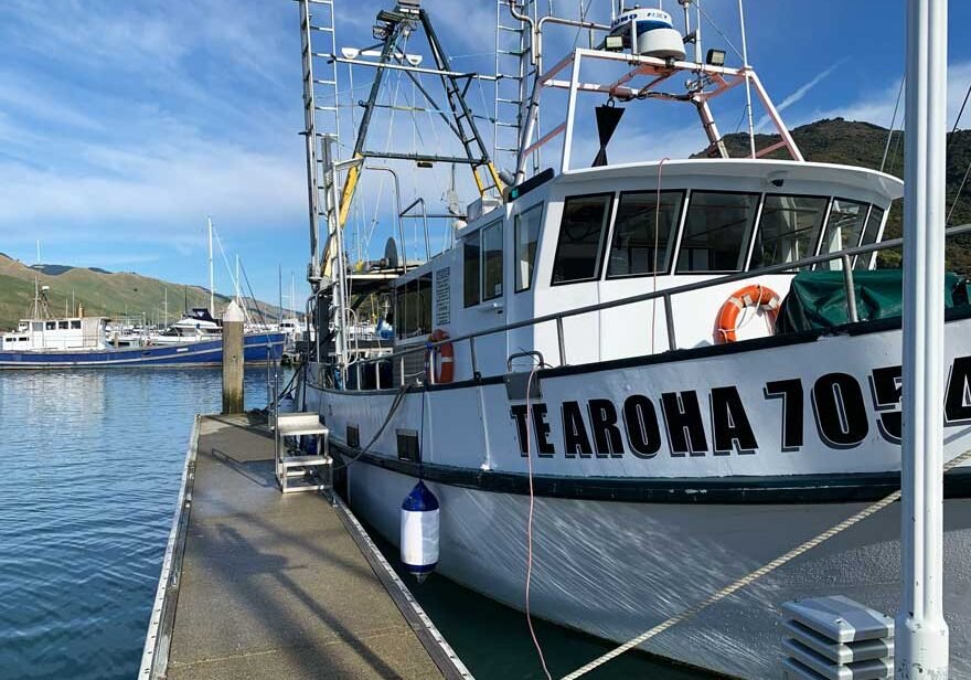 te-aroha-vessel te-aroha-vessel