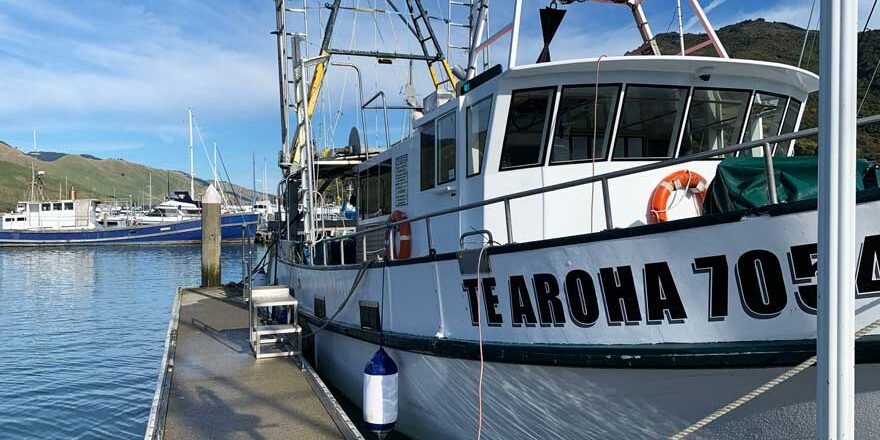 te-aroha-vessel te-aroha-vessel